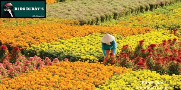  Chợ Lách Bến Tre