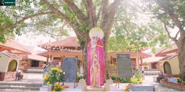 Cội Bồ Đề chùa phật lớn