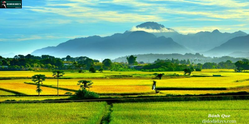 bên cạnh là cánh đồng Tà Pạ mênh mông