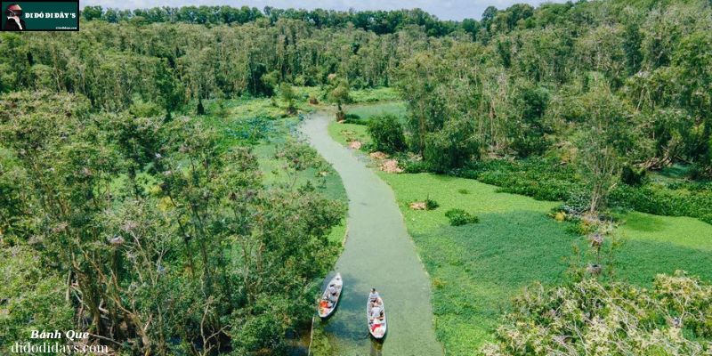 Chèo xuồng ba lá xuyên rừng tràm