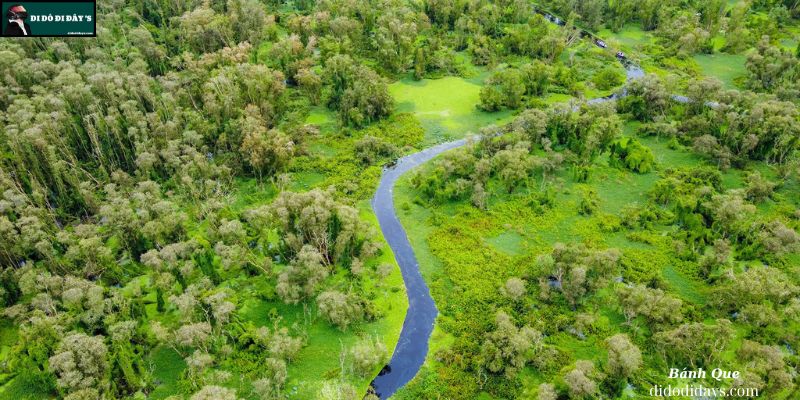 Rừng Tràm Trà Sư - An Giang
