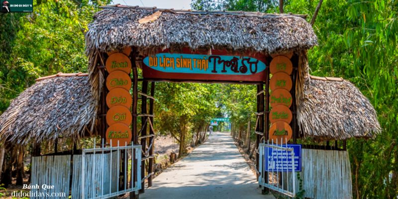 Rừng Tràm Trà Sư - An Giang