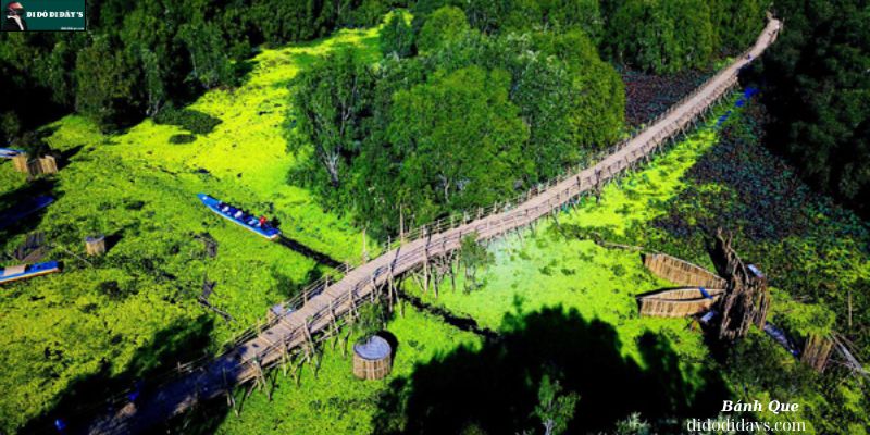 Dạo bước trên Cầu Tre Vạn Bước