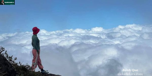 Săn Mây Ở Núi Cấm (Thiên Cấm Sơn) tại An Giang