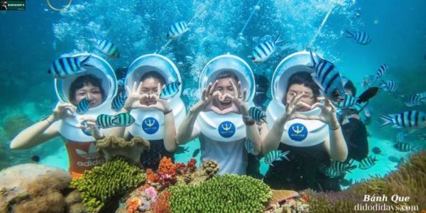 Lặn Ngắm San Hô