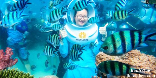 Lặn Ngắm San Hô