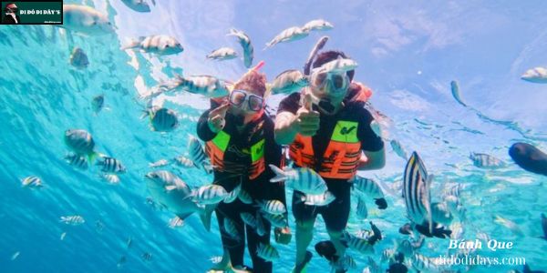 Trải Nghiệm Lặn Ngắm San Hô