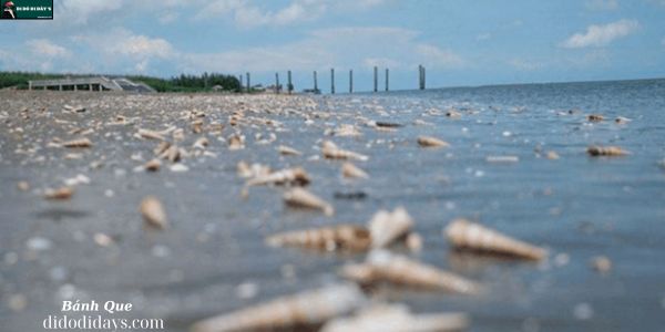 Cồn Bửng - Thạnh Phú 