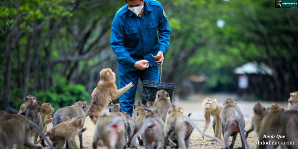 đảo khi Cần Giờ