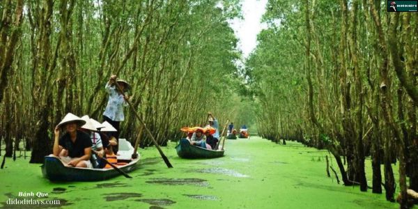 rừng ngập mặn Cần Giờ