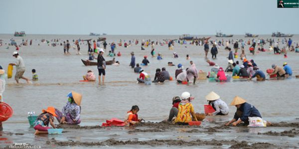 cào nghêu Biển Thừa Đức Bình Đại