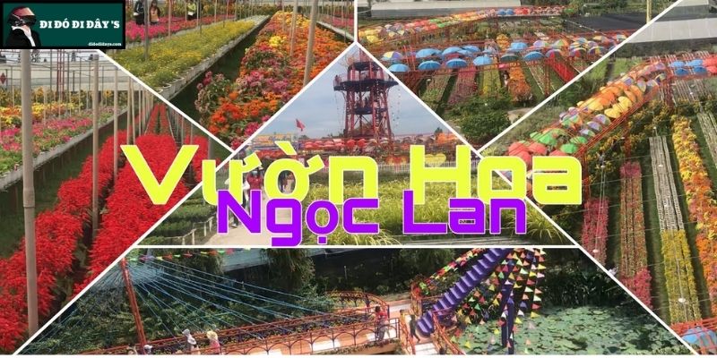 Vườn Kiểng Ngọc Lan