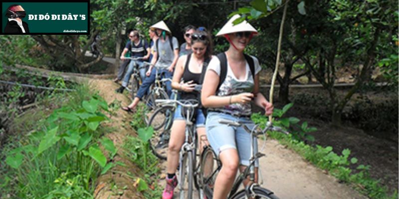 Đạp Xe Dạo Quanh Cồn