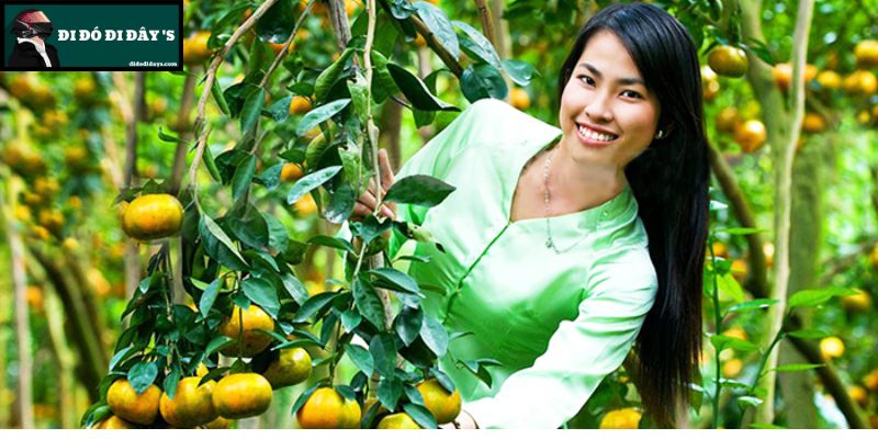 Cù Lao Long Trị - Cồn Bàng