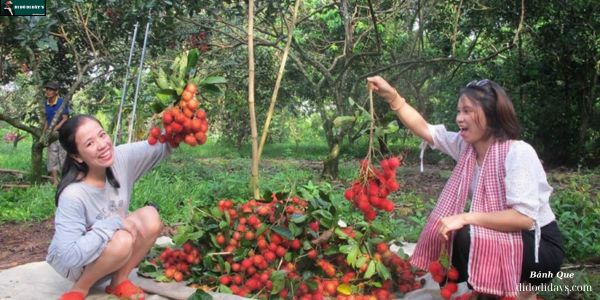 ăn trái cây tại vườn Cù Lao Long Trị - Cồn Bàng