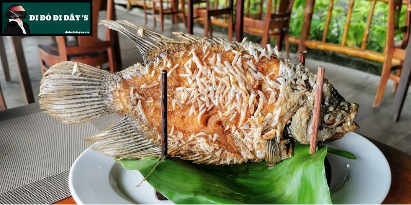 Cá Tê Tượng Chiên Xù