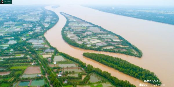 Cù Lao Tân Quy Trà Vinh