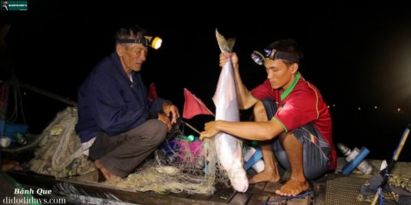 săn cá bông lau Cù Lao Tân Quy Trà Vinh