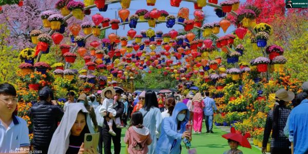  Chùa Vạn Phước Bến Tre