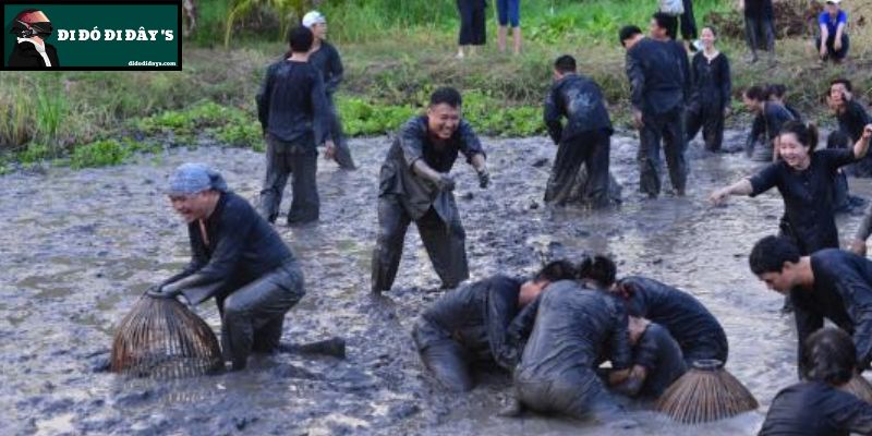 Tát Mương Bắt Cá