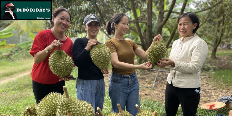 vườn sầu riêng