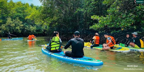 Chèo xuồng len lỏi rừng ngập mặn