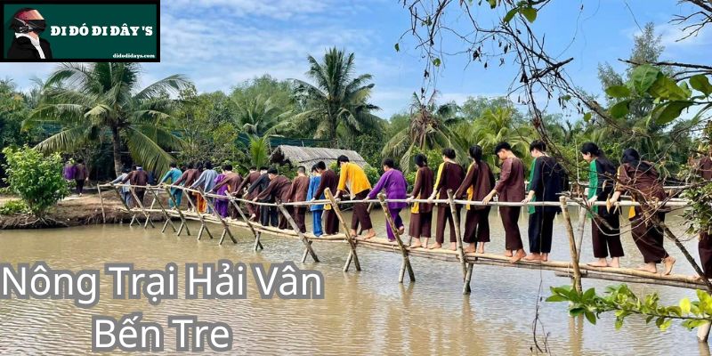 Nông Trại Hải Vân