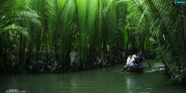 Chèo xuồng ba lá