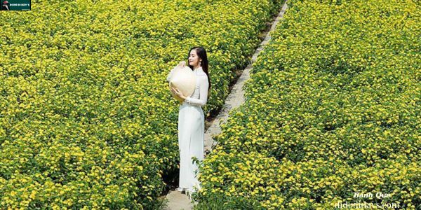 Vườn Hoa Mãn Đình Hồng Tại Tiền Giang