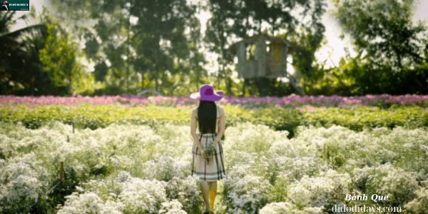 Vườn Hoa Mãn Đình Hồng Tại Tiền Giang