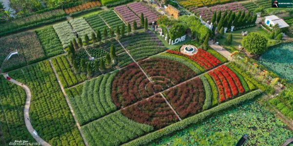 Vườn Hoa Mãn Đình Hồng Tại Tiền Giang