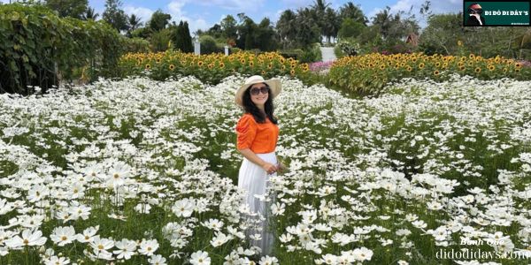 Vườn Hoa Mãn Đình Hồng Tại Tiền Giang