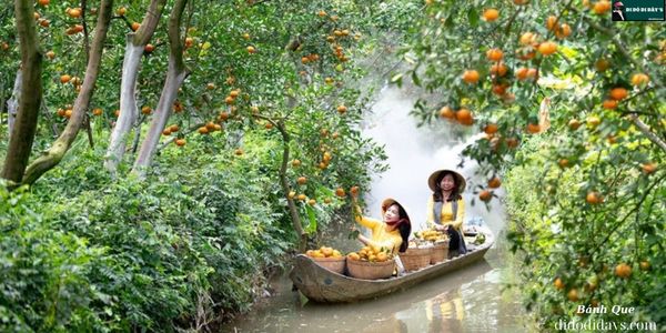 Chèo Xuồng Ba Lá tại vườn cây