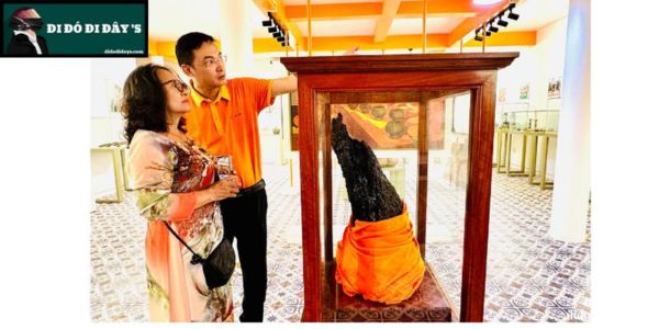 gốc dừa Bà hơn 100 năm tuổi