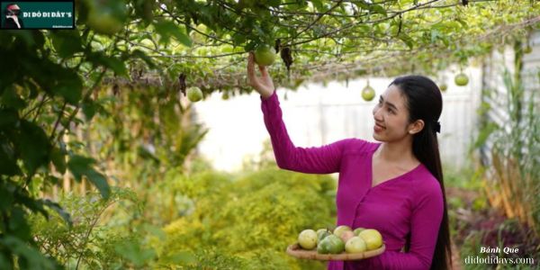 Tham Quan Vườn Trái Cây