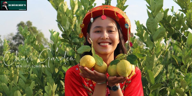 Vườn Chanh Không Hạt