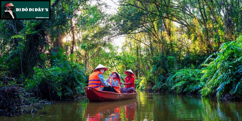 Chèo Xuồng Len Lỏi Trong Rừng Tràm