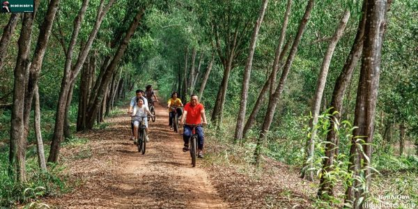 Đạp xe xuyên rừng tràm (đường mòn khoảng 3km)