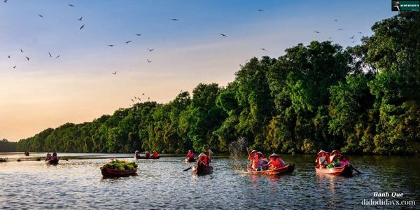 Chèo xuồng len lỏi giữa rừng tràm