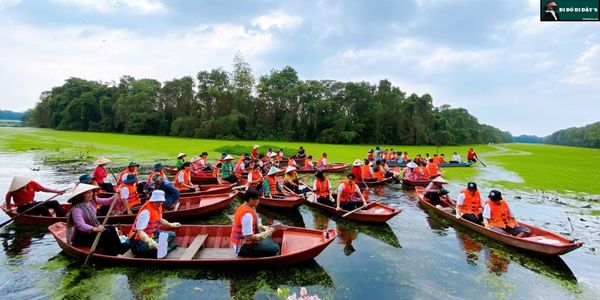 Chèo xuồng len lỏi giữa rừng tràm