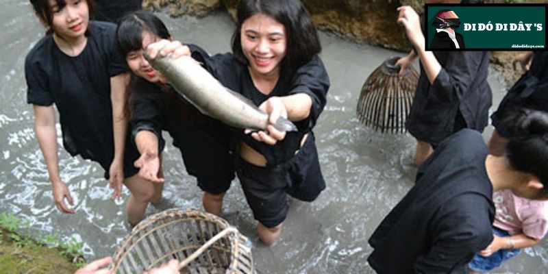 Tát Mương Bắt Cá