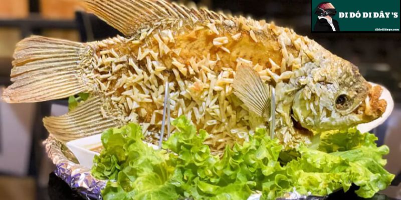 Cá Tê Tượng Chiên Xù