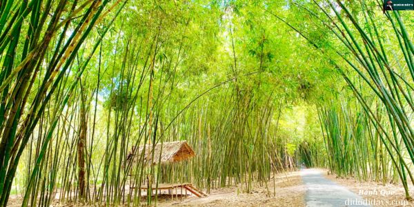  Làng Tre Tư Sang Tại Hậu Giang