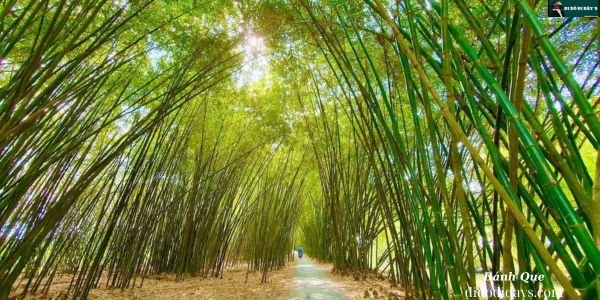  Làng Tre Tư Sang Tại Hậu Giang