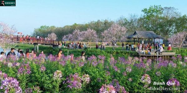  Chùa Tây Pháp (Thủy Hoa Viên)