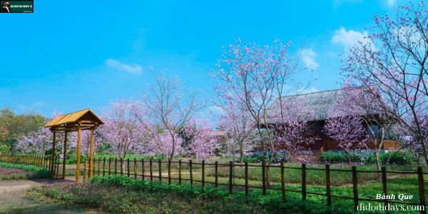  Chùa Tây Pháp (Thủy Hoa Viên)