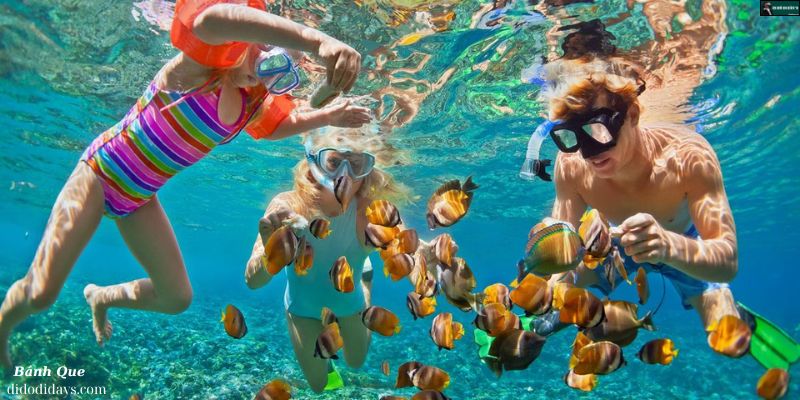 Trải nghiệm lặn ngắm san hô