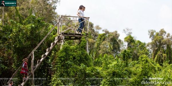 Tham quan thảm động – thực vật tại Xẻo Quýt