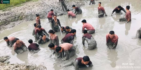 Tát mương bắt cá