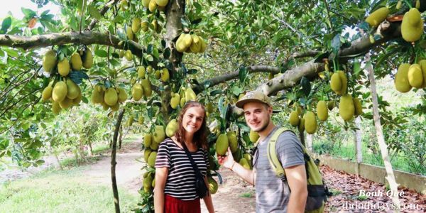 Thăm Vườn Trái Cây Ông Đề